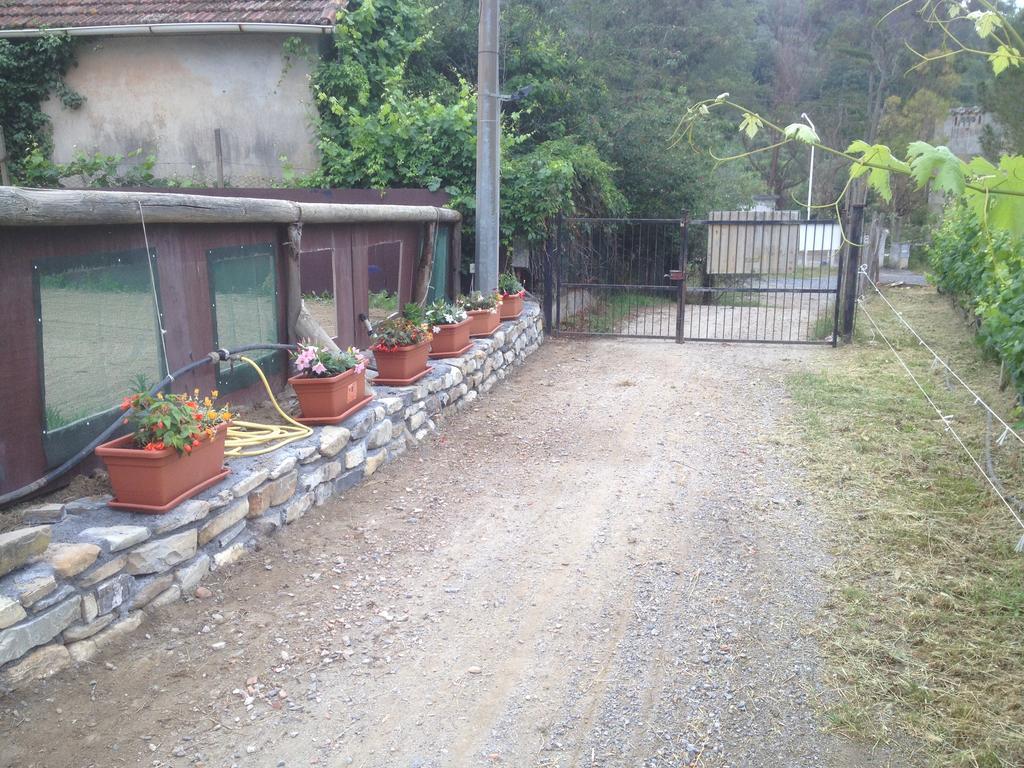 Hotel Il Piccolo Ranch Cervo Exterior foto